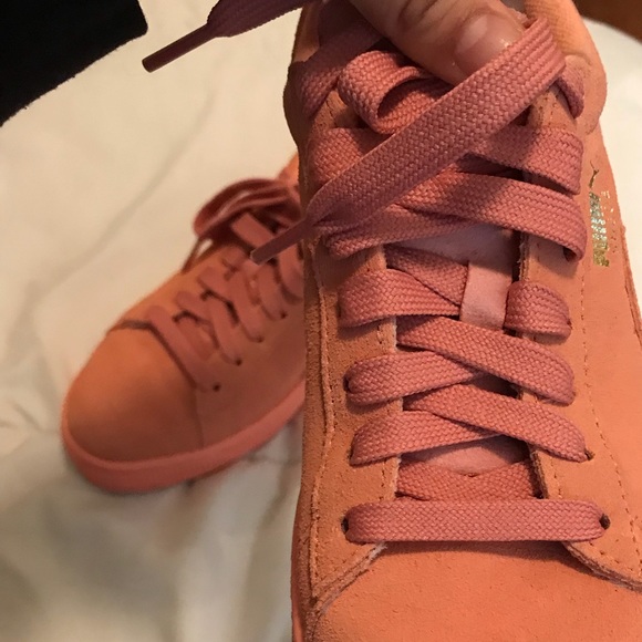 desert flower pumas - Picture 1 of 4